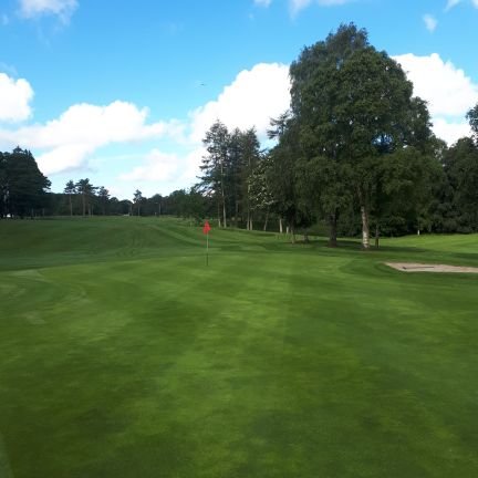 Chrisgorman77's profile picture. assistant greenkeeper in royal curragh golf club