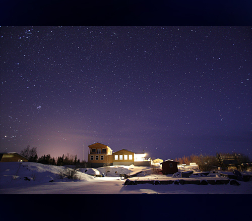 syoungs8's profile picture. 