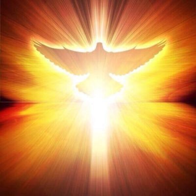 voices_tiny's profile picture. One Tiny Voice in Defense of the Innocent