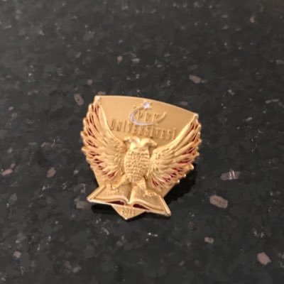 UniversityIpek's profile picture. 