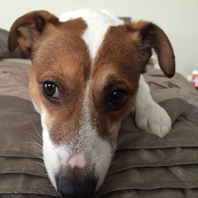 millerbethanyj's profile picture. I’m a wife, mother & grandmother. I have a son who became my angel at age 25. I’m a proud dog owner, they bring much comfort to the broken hearted.