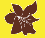 4SeniorMoments's profile picture. Senior Moments advocates for senior citizens, especially those who are homebound and disabled to improve the quality of their lives and that of their caregivers