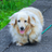 いっちゃんの土佐日記のTwitterプロフィール画像