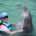 Vanessa Harper - @Vanessa50743043 - Twitter