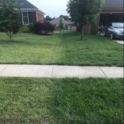 Student of all things Lawn and Lover of Kentucky Straight Bourbon Whiskey!