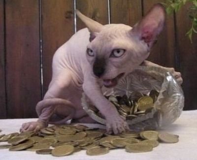 DISLEXICO ..CUAL IZQUIERDA?...AMO A LOS PERROS Y A LO GATOS..
