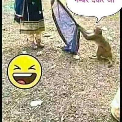 MEHDI72564876's profile picture. 