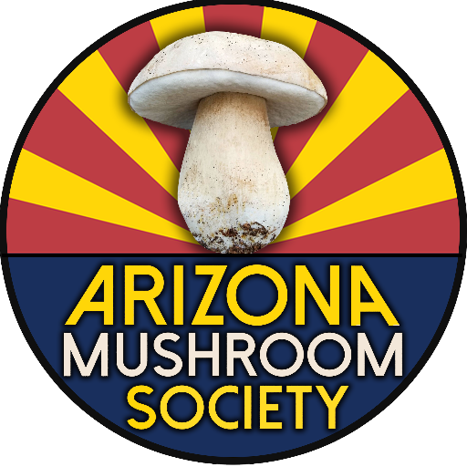 The home of amateur mycology in Arizona