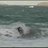 Shane_Coram's profile image