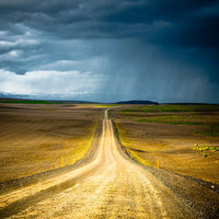 nobordersmag's profile picture. quelli che hanno venduto tutte le copie di Back To The Wild  

https://t.co/MRLKlnOvoA