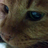 5ntan's profile image