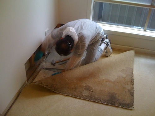 Carpet and rug cleaning and repairs, water damaged carpet, tile grout cleaning, restoration, carpet stain removal, steam cleaning SERVICES and RESTORATION