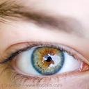 harrison wall - @harriwonderwall - Twitter