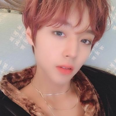 snatching netizens’ wig is my role, duality is my middle name. hi, it’s park jihoon and i’m this 👌 close to wreck your bias’ list.