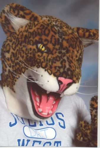 ROAR!!!