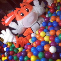 Gambado Beckenham (@gambadobkm) 's Twitter Profile Photo Gambado Beckenham (@gambadobkm) 's Twitter Profile Photo