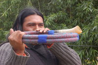 tonolec's profile picture. 