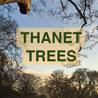 Thanet Trees(@thanettrees) 's Twitter Profile Photo