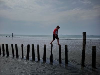 Alison Tallant Profile