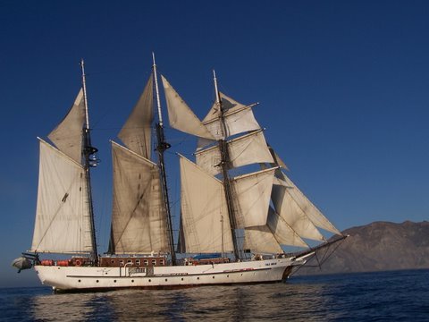 The tallship SSV TOLE MOUR.  Taking Students to Sea to Build Stewardship, Character and Minds since 1998.  Check out our site for Summer 2014 Camp details!