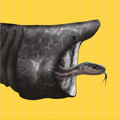bagshark's profile picture. Bathilda Bagshark! It's a podcast about Harry Potter, sharks, and sometimes bags?? Hosted by Mara Edwards and Tad Kaufman