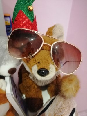 FaustusFox's profile picture. FaUstuS tHe Fox .. fRom LEiCEsTER!!!!!