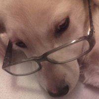Julie feely (@glooking) 's Twitter Profile
