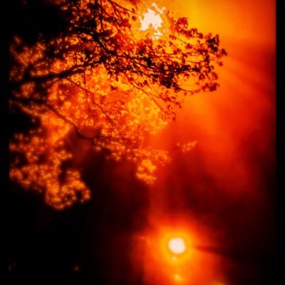 Atom13672102's profile picture. NSFW - Art - Games - Rare and strange broadcasts - random - sometimes cake?