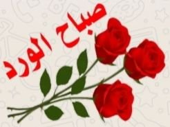 SBaqerSAdnan1's profile picture. ابومحمد