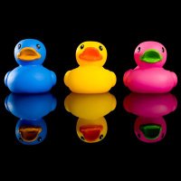 pcto4893 (@pcto4893) 's Twitter Profile