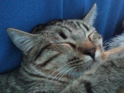 Michouさんのプロフィール画像
