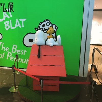 misumame's profile picture. 行き当たりばったりに生きるアラサー。 映画とか漫画とかMTGとかラジオとか好き。EDHはゼドルー filmarksで感想書いてます。良かったら見てね。https://t.co/qERAfd3hnu
