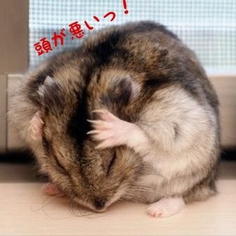 wata_kari's profile picture. 卓球用具の軸が定まらないSE
元山口県民、神奈川在住
