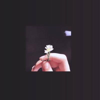 peanutt001's profile picture. 