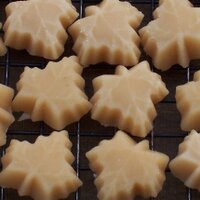 Palmer Lane Maple (@palmerlanemaple) 's Twitter Profile