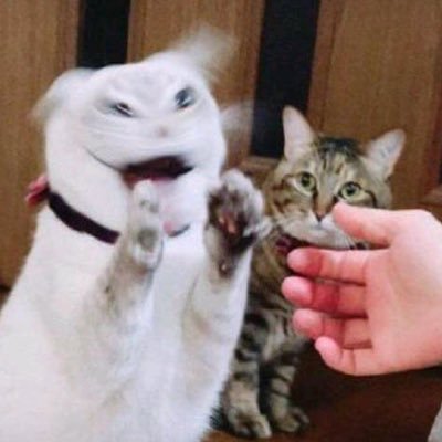 옥돌さんのプロフィール画像