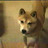 mune1966's profile image