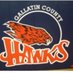 GCHS Hawks (@gchshawks) Twitter profile photo