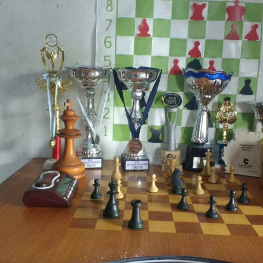 Periodista, docente, campeón Argentino de ajedrez por correspondencia (1998) y MI y Seniors ICCF. Actual campeón argentino disminuidos visuales.