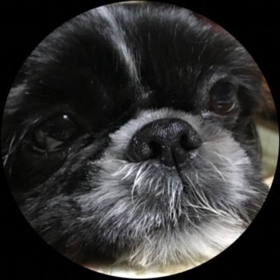 SOSANGEL(エスオーエスエンジェル)さんのプロフィール画像