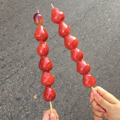 푸야 봇계 (봇 외 팔로x)