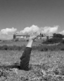 aminetheleader's profile picture. 