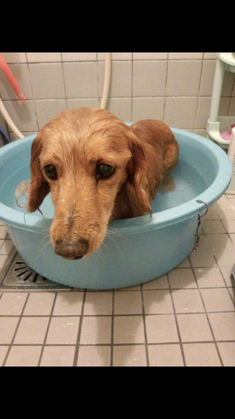 kamio8478's profile picture. 