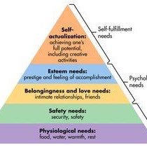 All I want ex EU is a trade deal. Maslow explains all. Libertarian & distrust interfering Govt & ideologues. Dont know Left from Right anymore. Masters educated