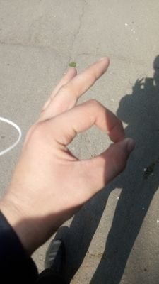 mitec41's profile picture. я