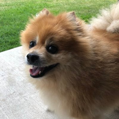 Missy9905's profile picture. I just got here to find out what you’re thinking