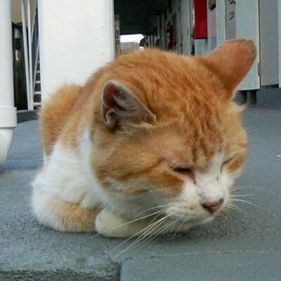 スナッキー Sin Pay69 さぁ ググるんだ 笑 徳丸純子とは さすがマイナーなとこに行きますな スナッキー Sin Pay69 さぁ ググるんだ 笑 徳丸純子とは さすがマイナーなとこに行きますな