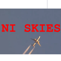 NI SKIES(@ni_skies) 's Twitter Profile Photo