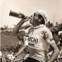 a.k.a The Silver Fox (@bianchiboy8) 's Twitter Profile