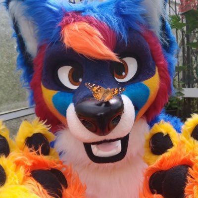 We are @critterfactory's critters! We share and retweet fursuit pics, arrange photoshoots, and share info and updates.
